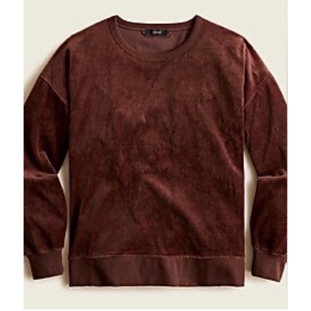 J. Crew Plush Velour Crewneck Pullover Sweatshirt Boxy Oversized Lounge